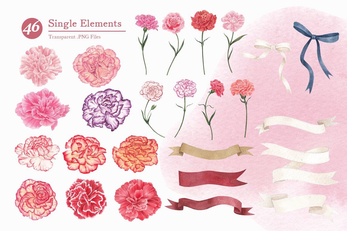 46 Single Elements: Carnations and Ribbons.