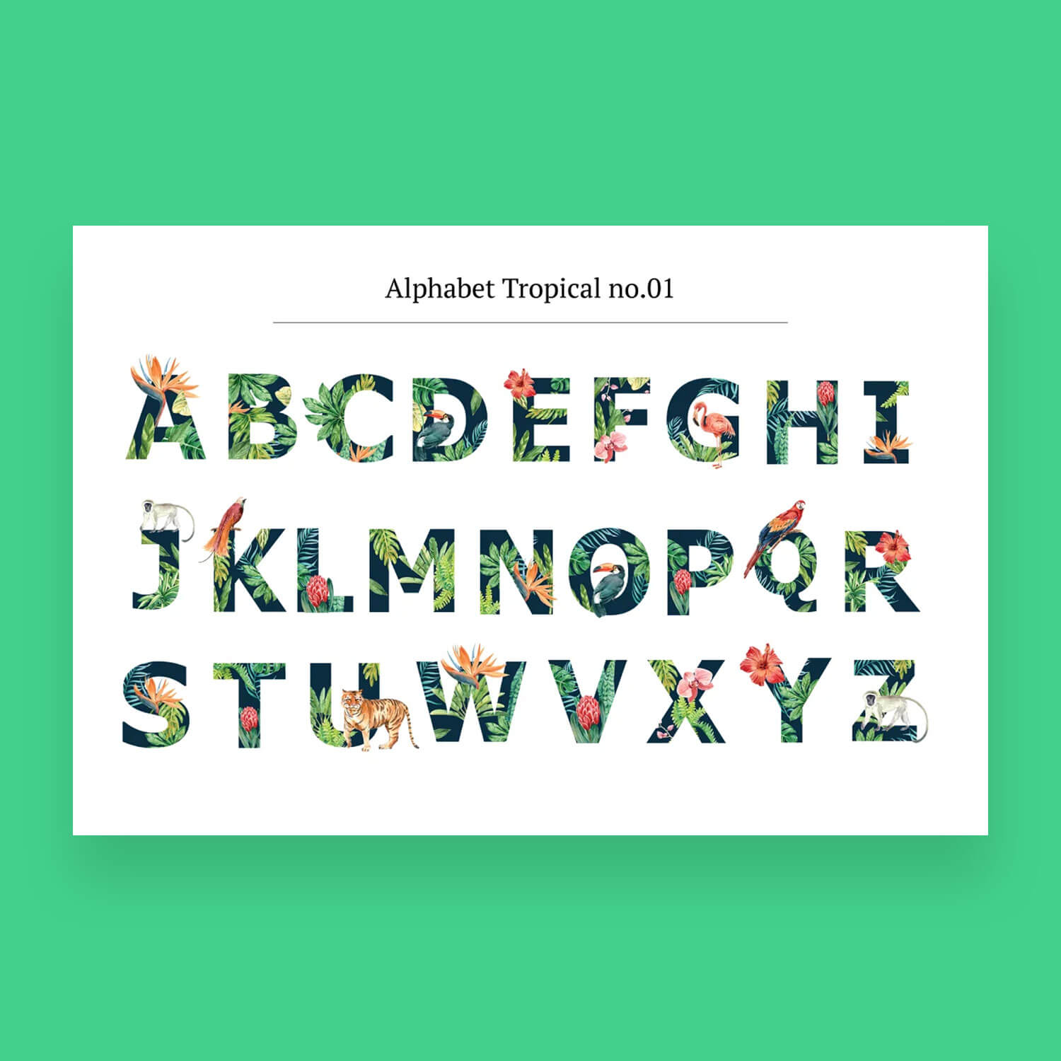 Alphabet Tropical no.01.