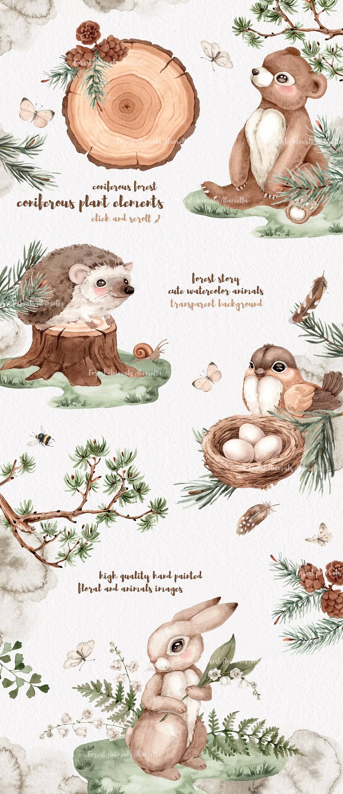 Forest story cute watercolor animals transparent background.