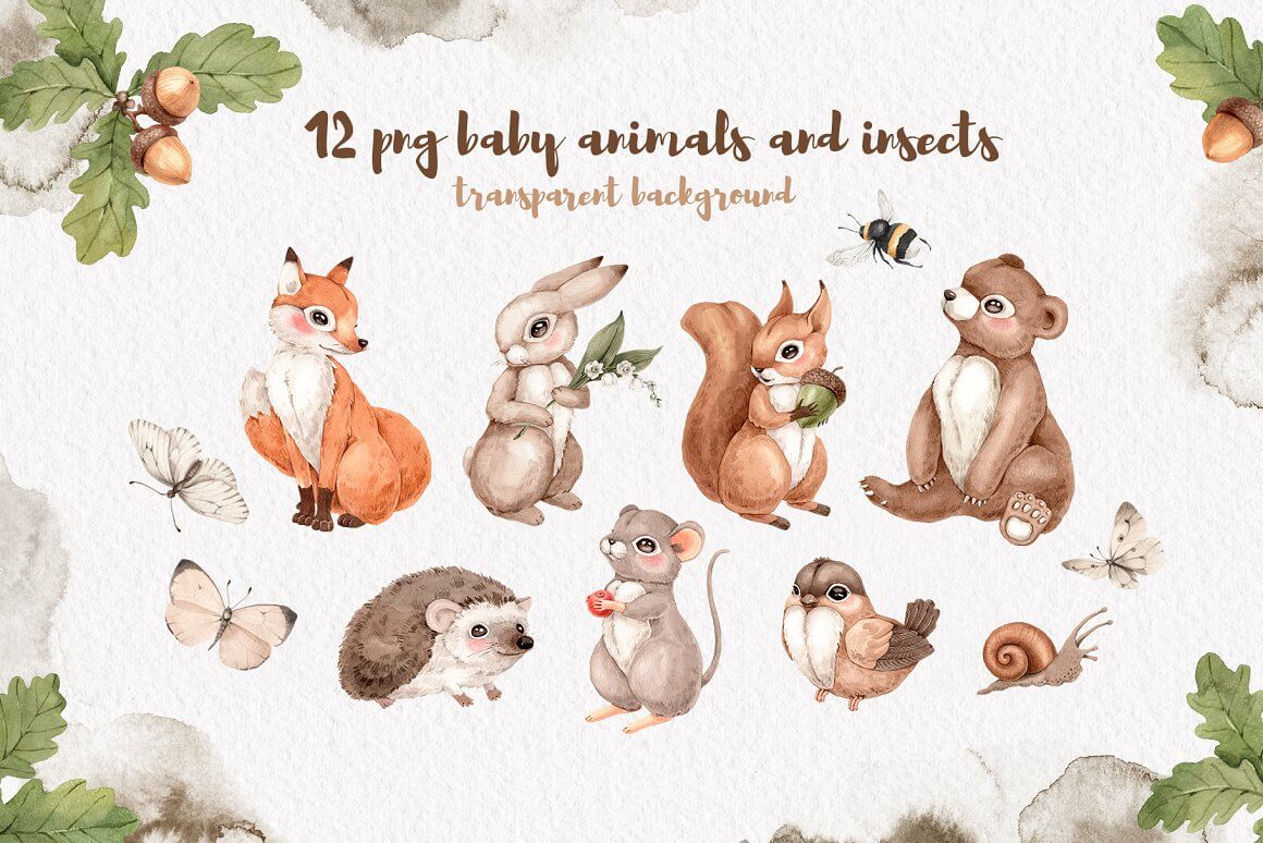12 PNG baby animals and inseets transparent background.