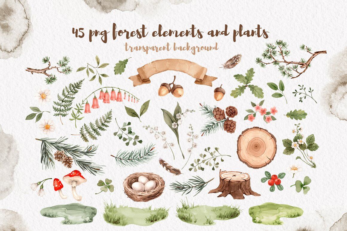 45 PNG forest elements and plants transparent background.