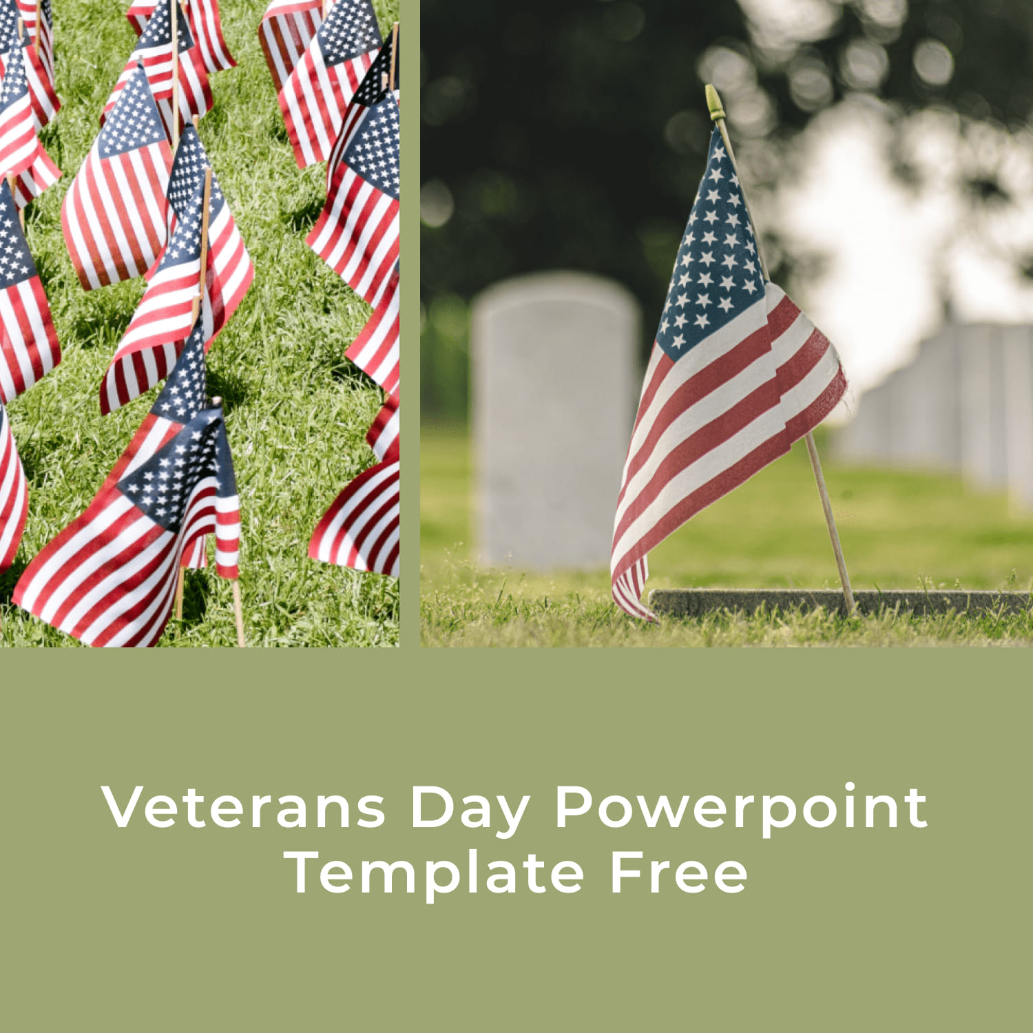 1500 1 Veterans Day Powerpoint Template Free.