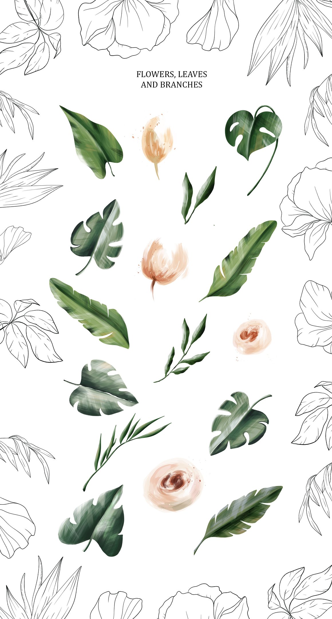 Flowers and leaves on a background.