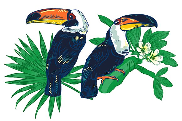 Personalization of personal space with the help of a toucan.