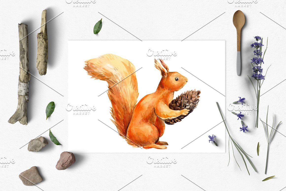 Collage: squirrels, plants and cutlery.