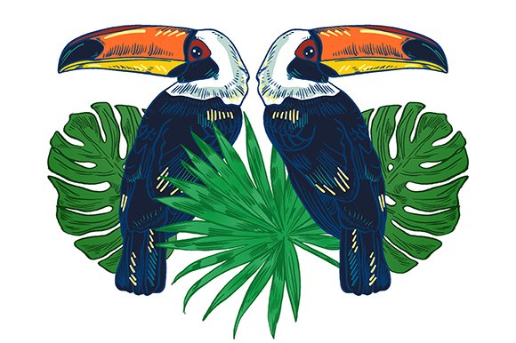 Interesting toucans for you and your work.