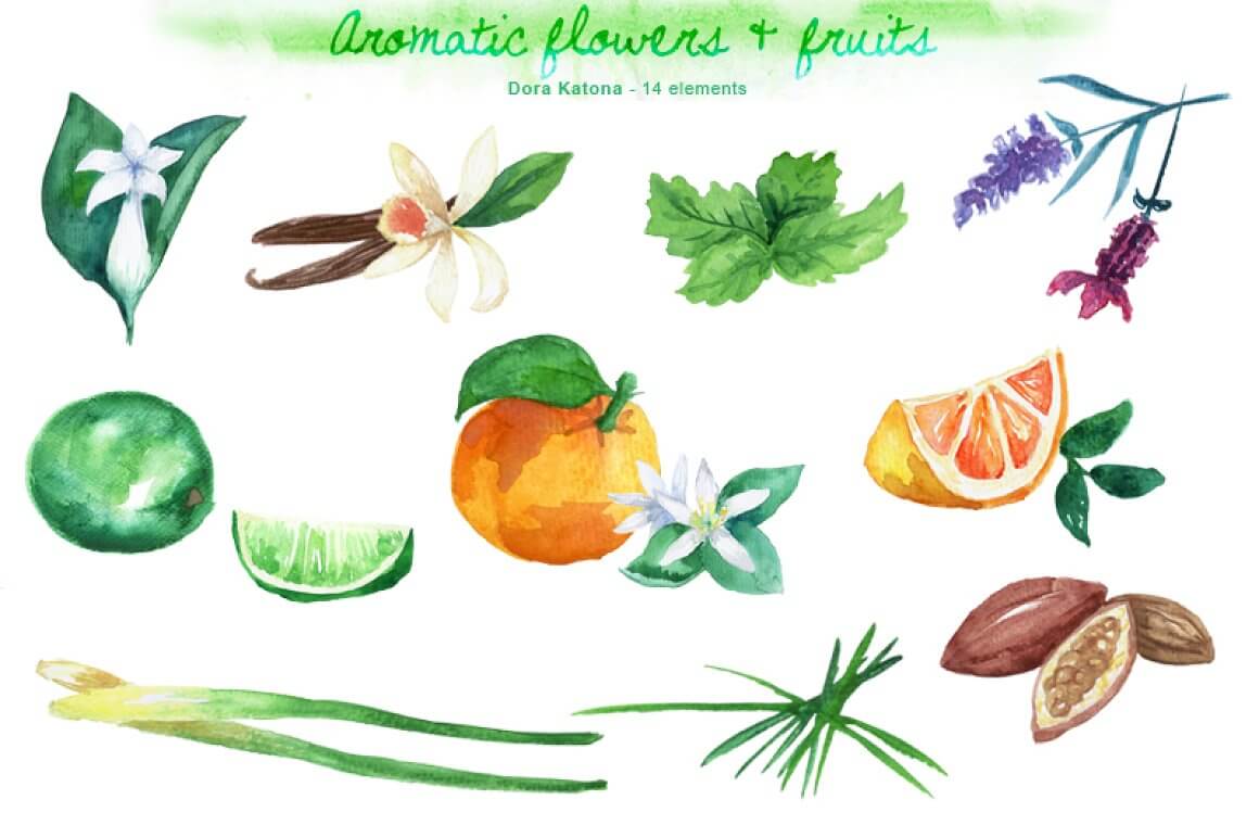 Fragrant flowers and citrus fruits: lime, orange, orchid, lavender and more.