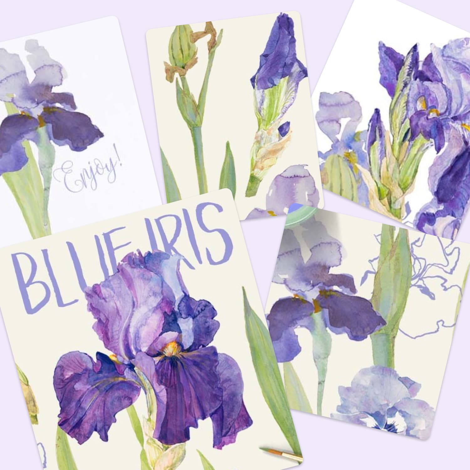 blue iris hand painted design.