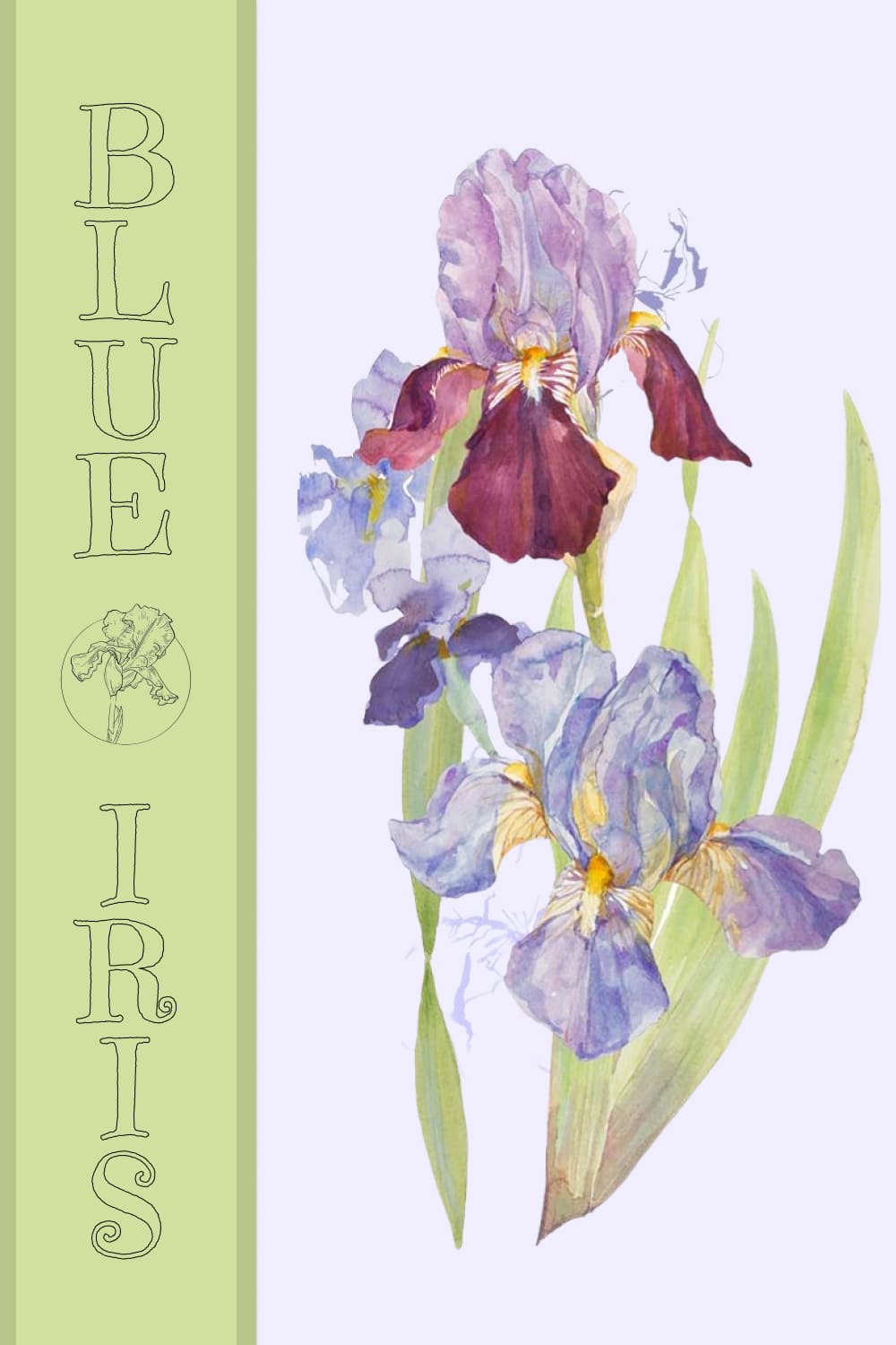 Blue Iris - Watercolor Clipart Set pinterest image.