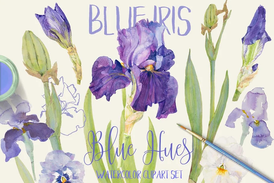 Blue Iris - Watercolor Clipart Set facebook image.