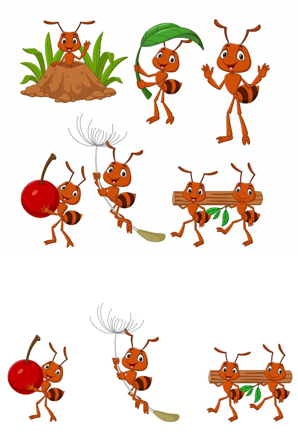 brown ant animal pinterest