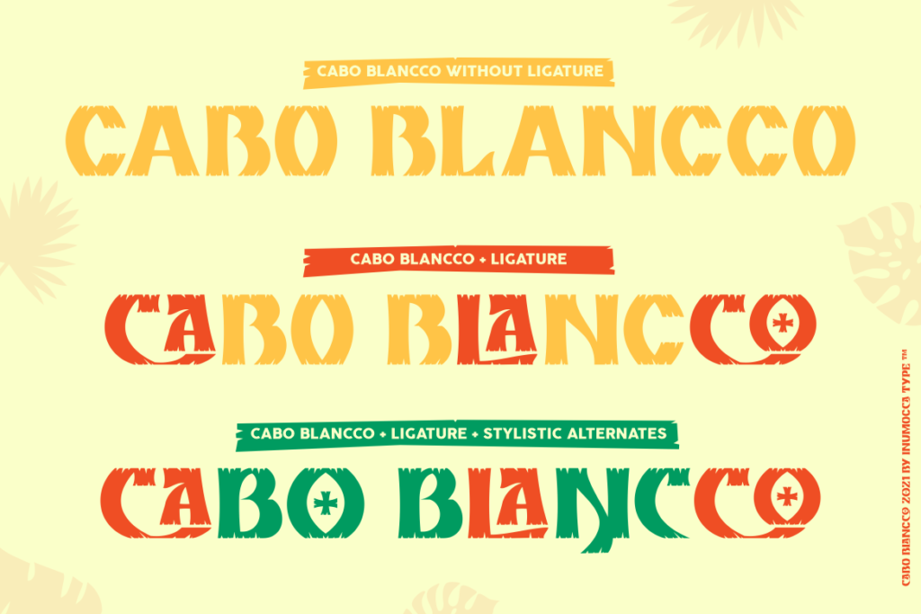 Cabo Lettering Cabo Blancco Tropical Display Font – MasterBundles