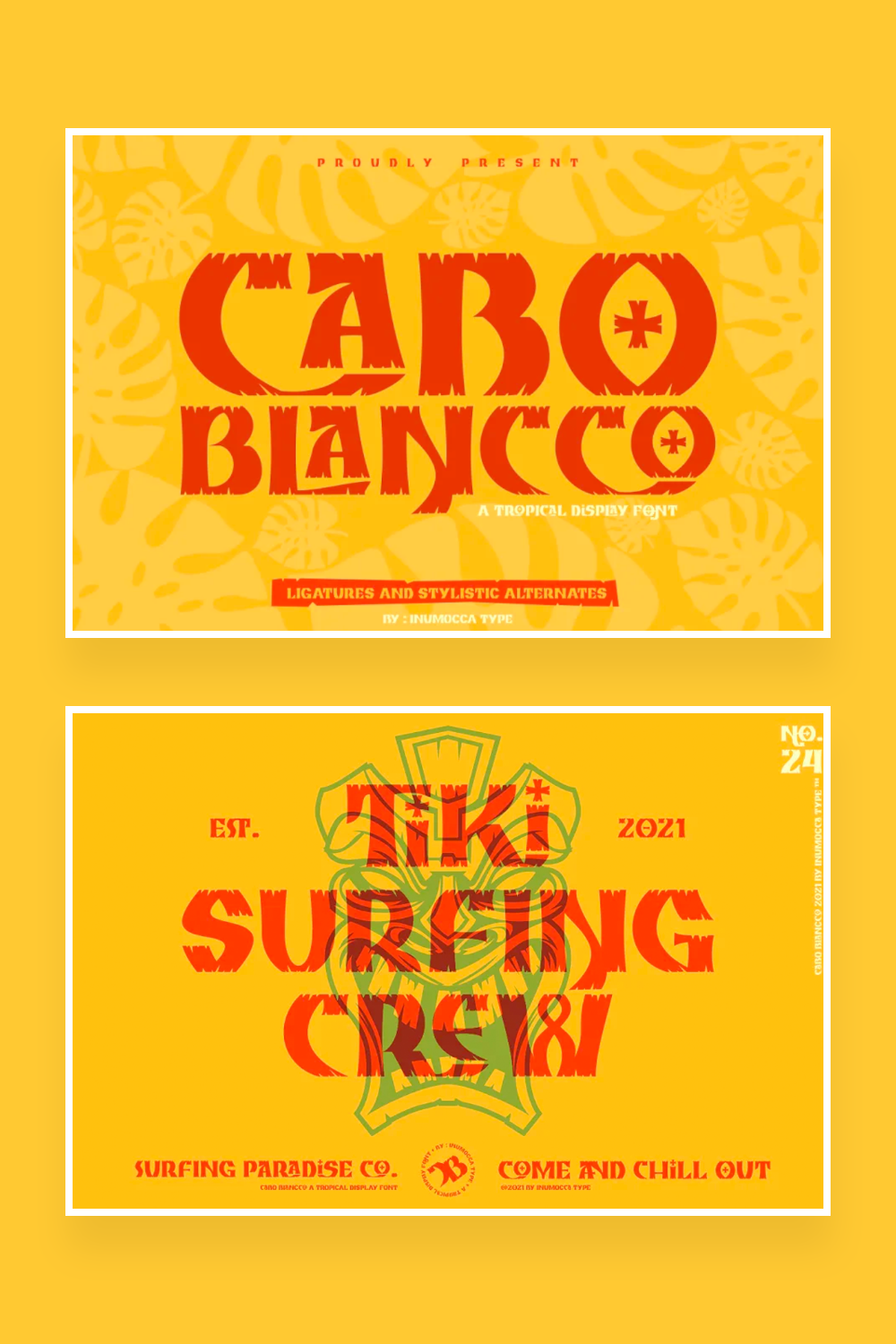 Cabo Blancco Tropical Display Font pinterest.
