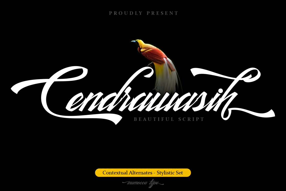 cendrawasih beutiful modern handwritten brush font pinterest image