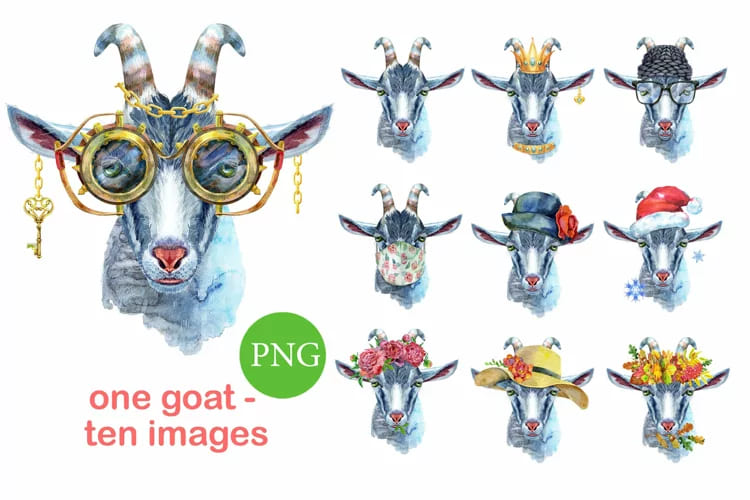 Cheeky Gray Goat facebook image.