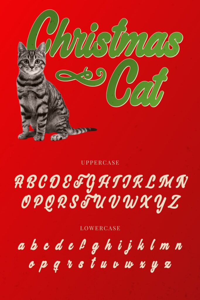 Christmas cat free font MasterBundles Pinterest uppercase and lowercase preview.