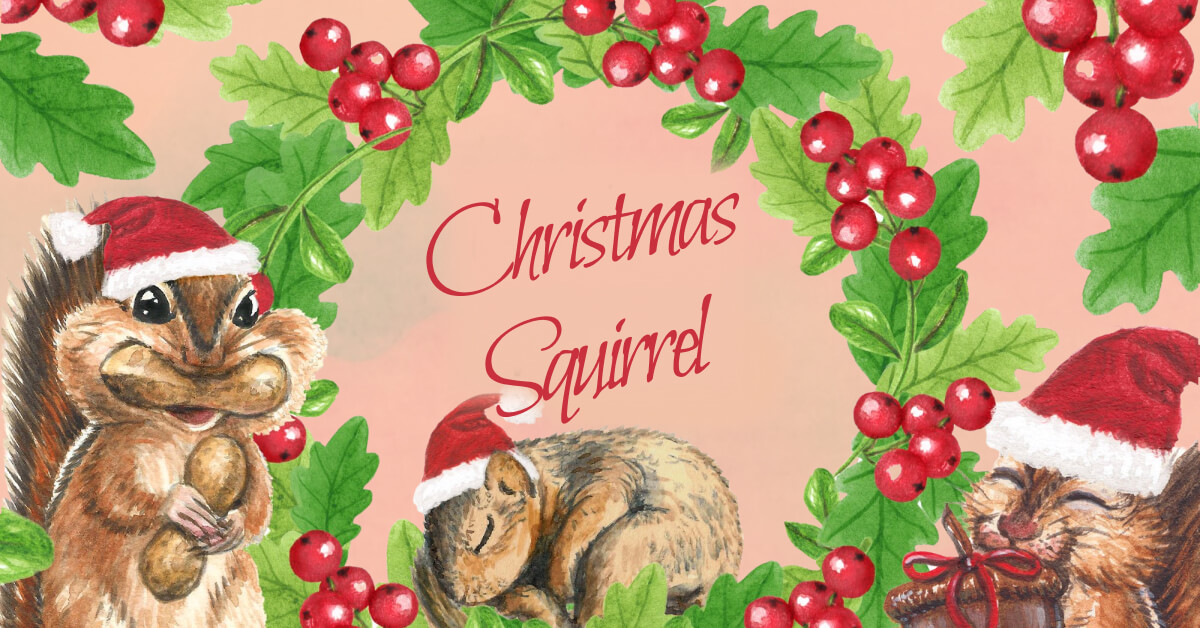 Three Christmas squirrels in different emotional states.