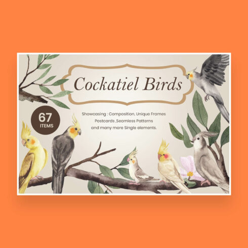 cockatiel birds watercolor illustration cover image.