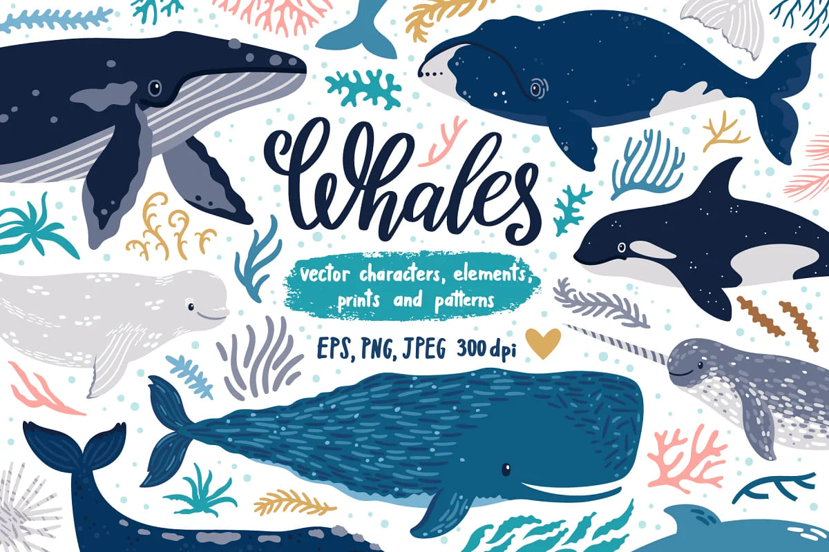 cute whales illustrations.