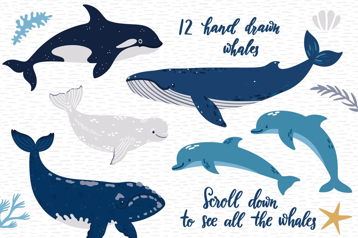 cute whales animal elements.