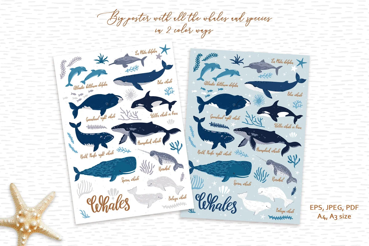 cute whales posters.