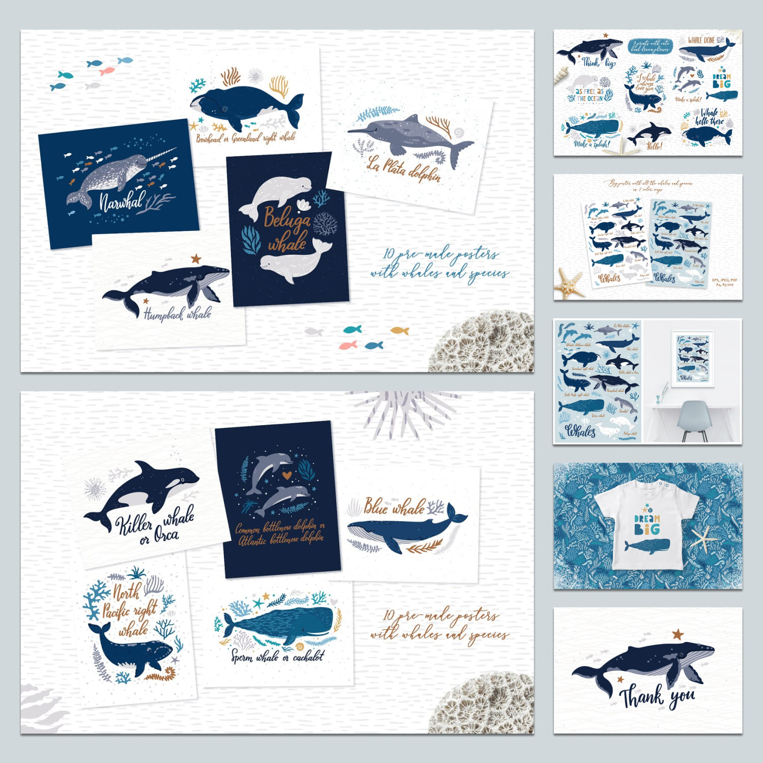 Cute Whales. Characters & Patterns preview image.