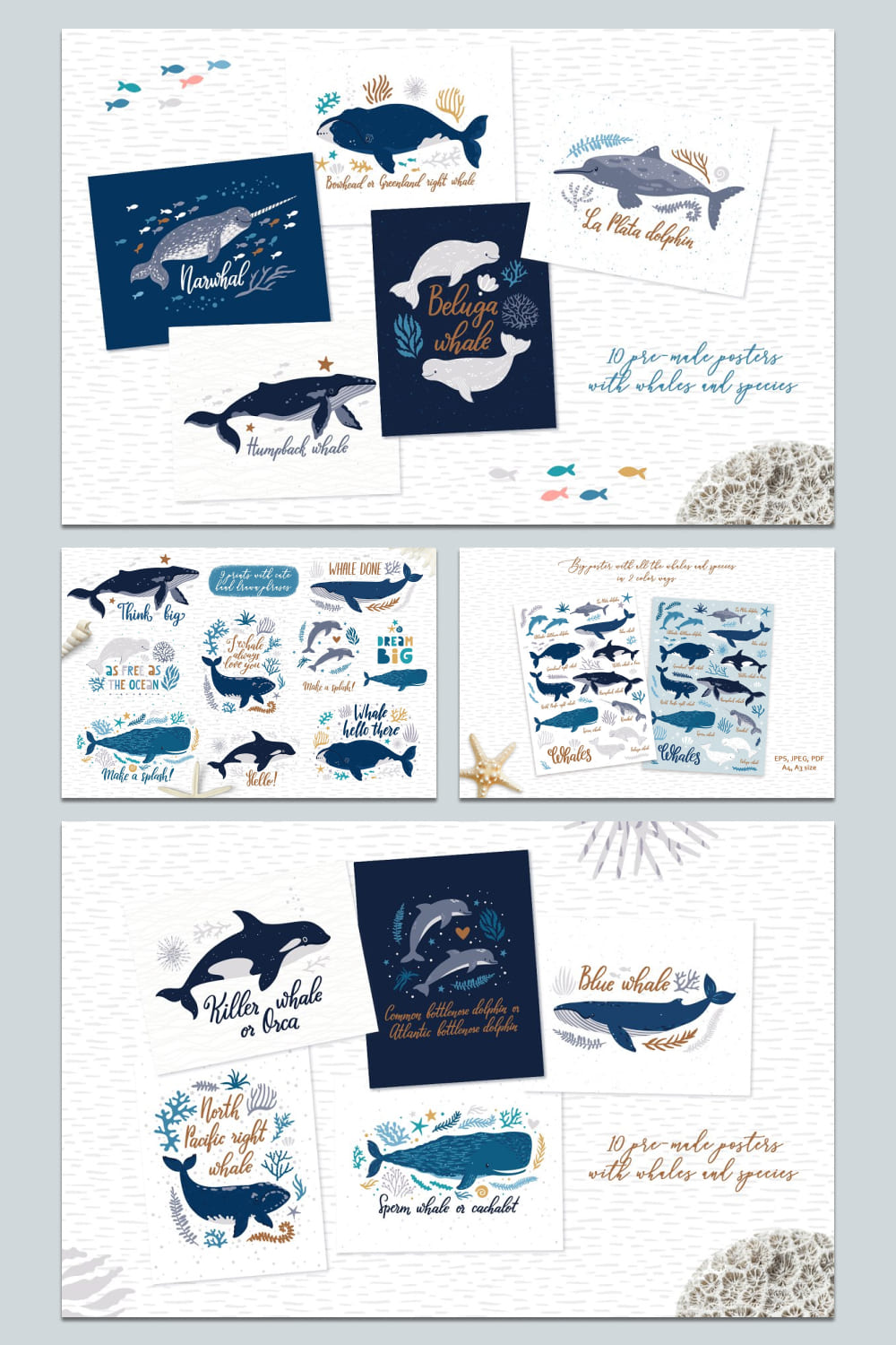cute whales. characters patterns hand drawn elements.