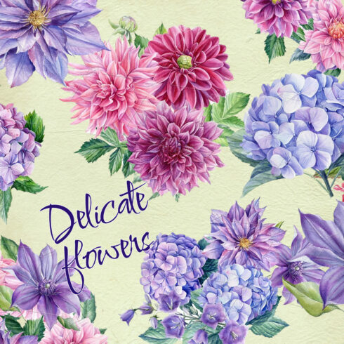 Delicate Flowers Watercolor Hand Painted Set cover image.