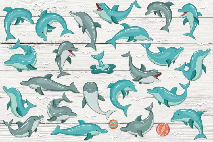 dolphins illustrations.