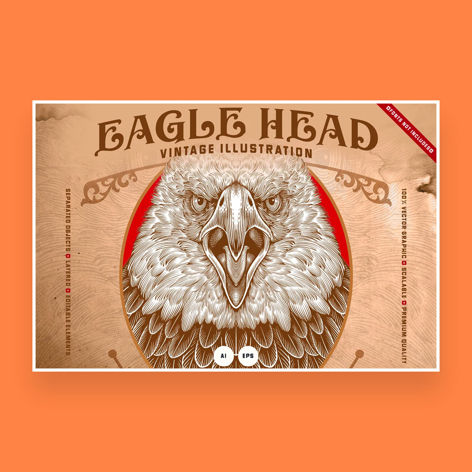 Eagle Head Illustration cover image.