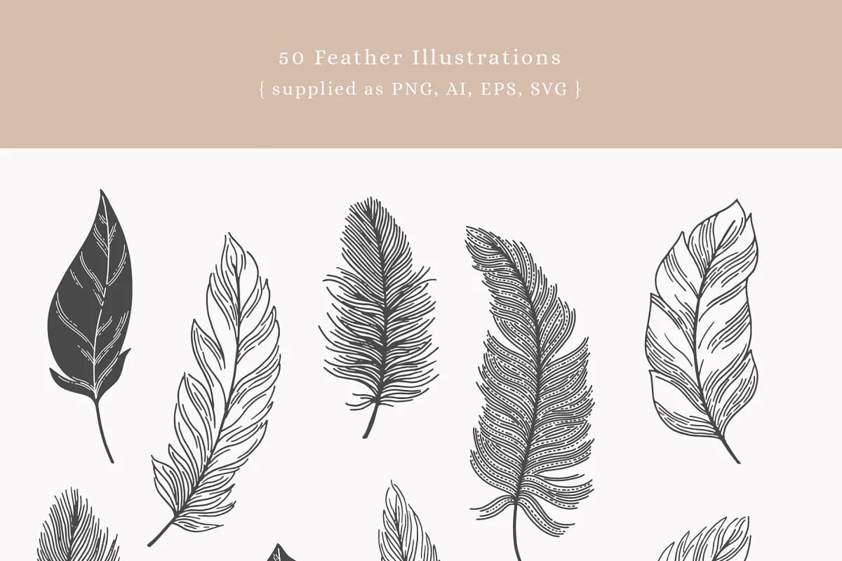 feather graphics.
