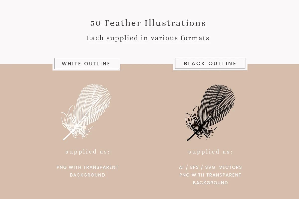 feather vector illustrations.