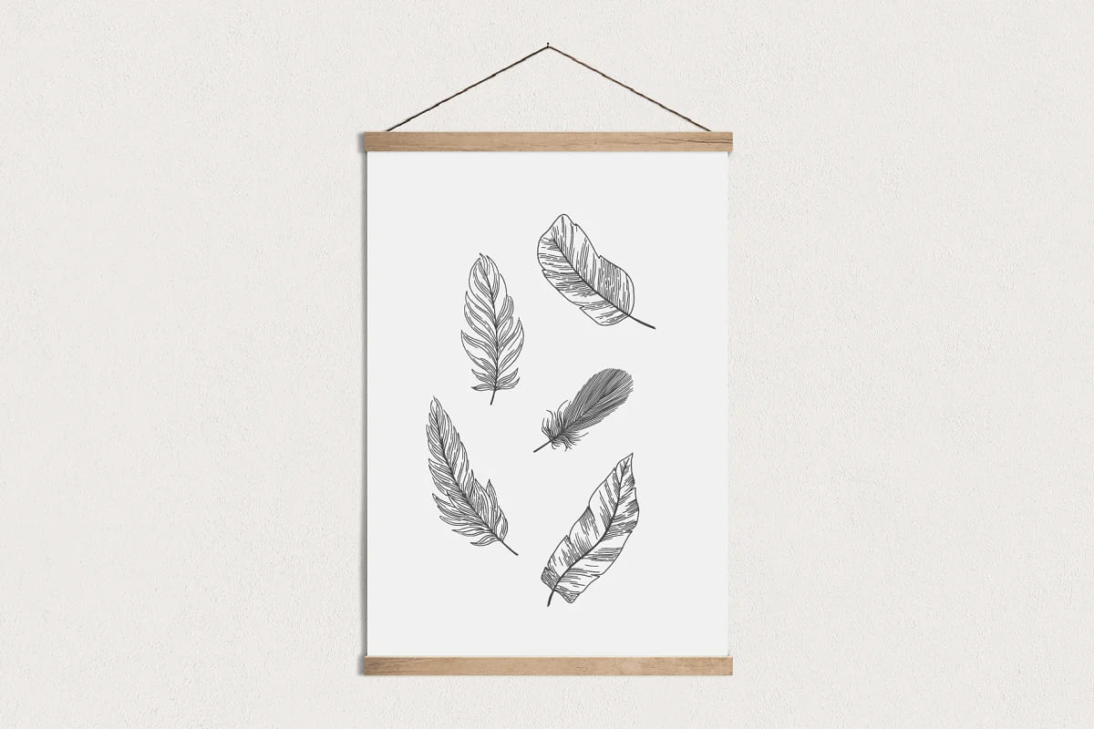 feather hand drawn vector graphics.