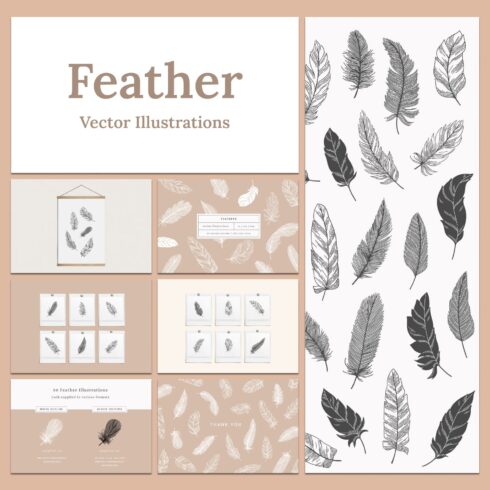 Feather Vector Hand Drawn Illustrations cover image.