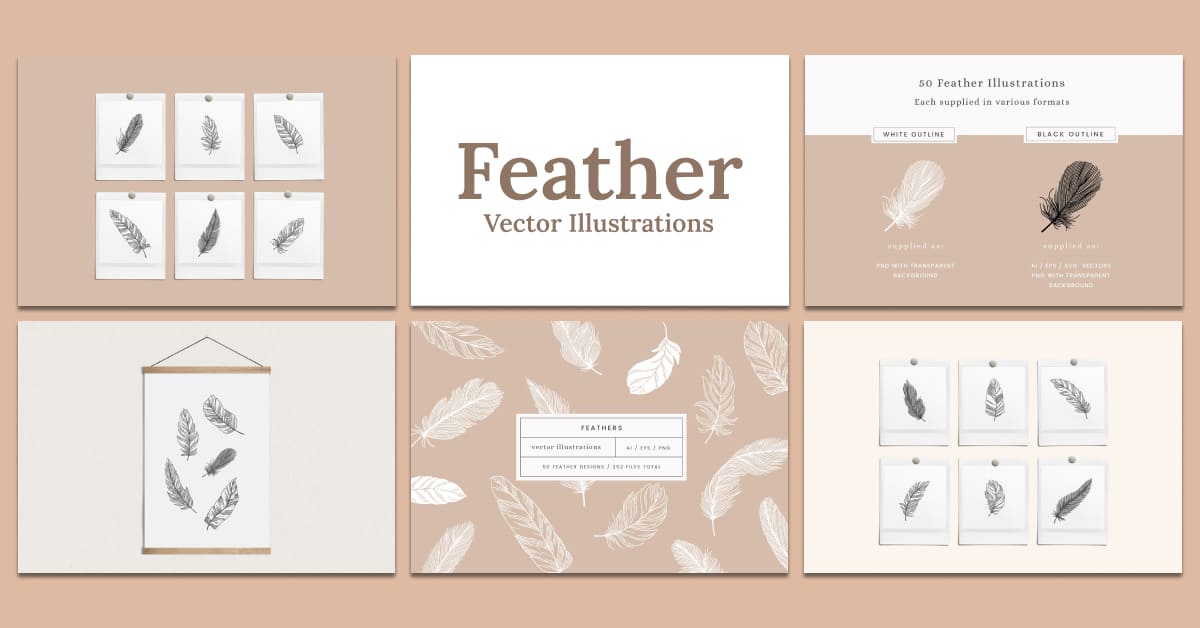 feather vector illustrations design.