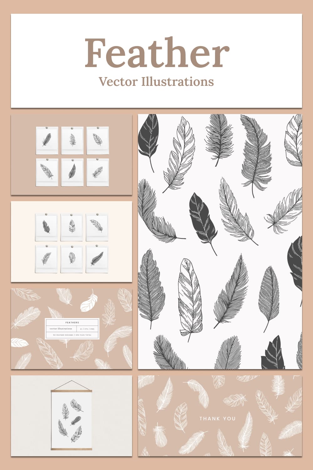 feather vector illustrations graphics.