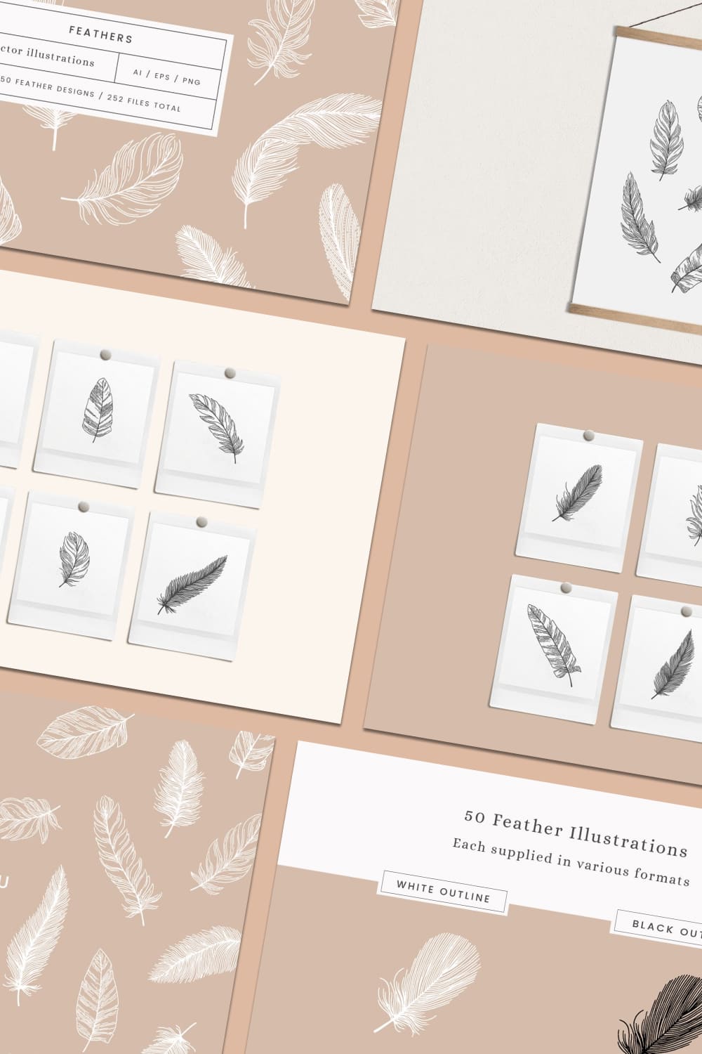 feather vector illustrations beautiful graphics.