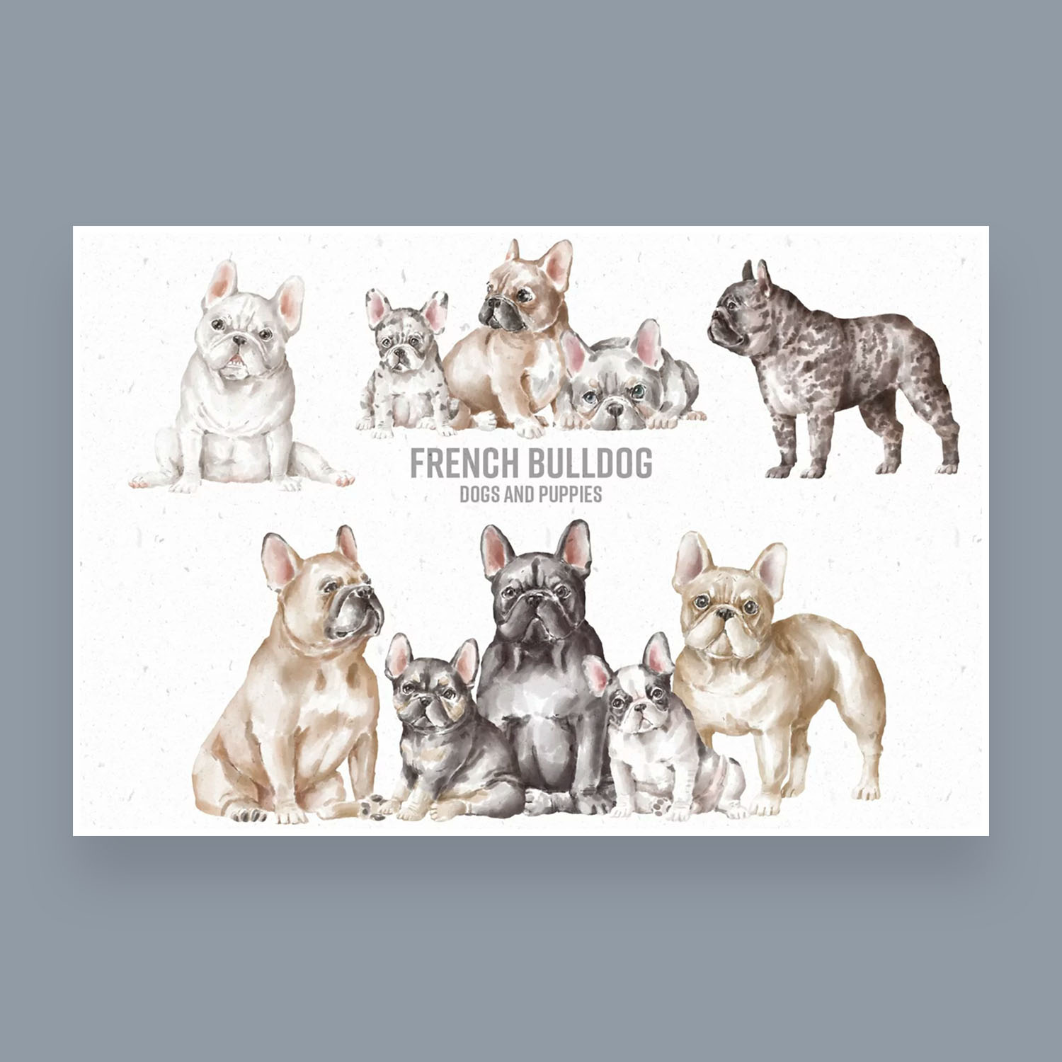French Bulldog Clipart cover image.
