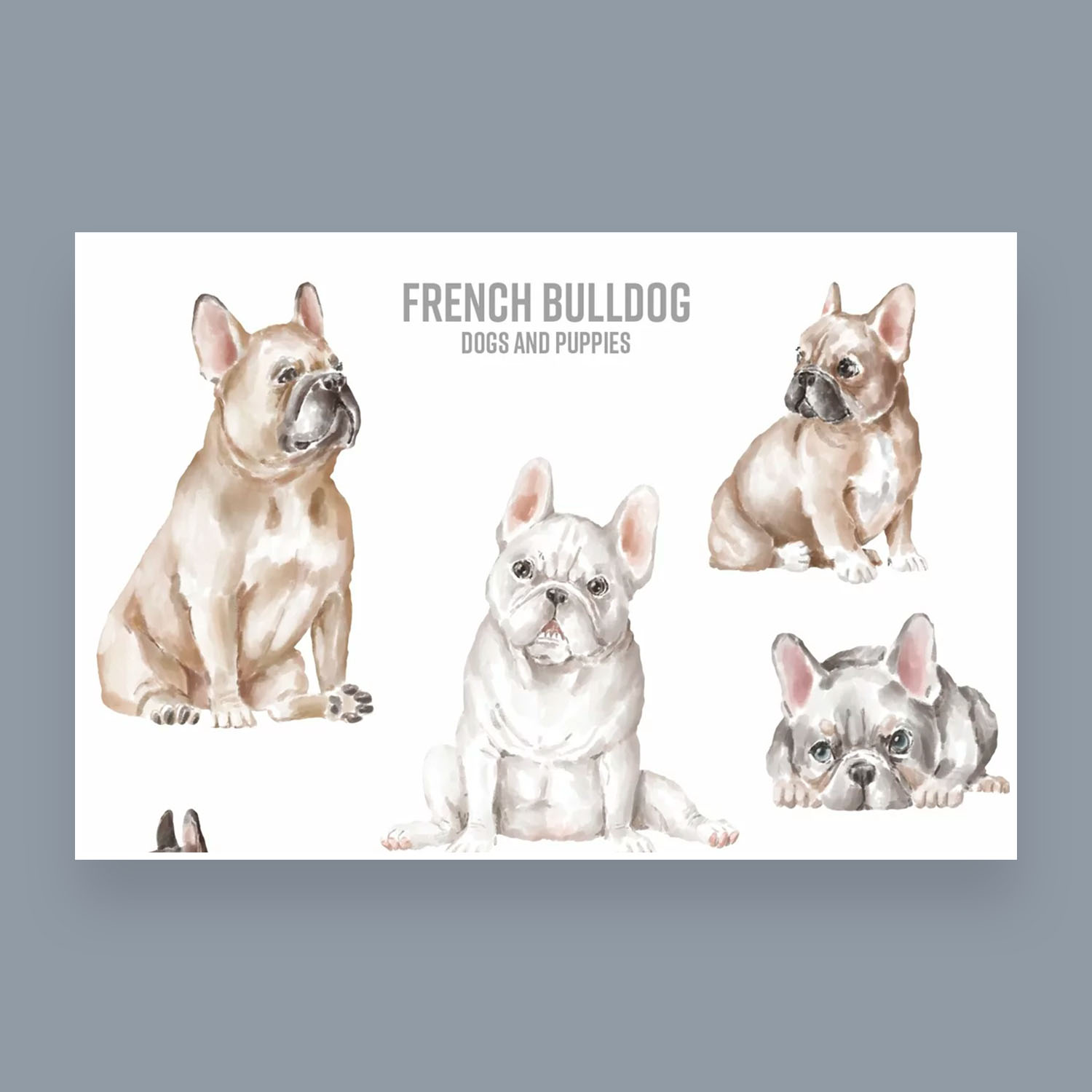 French Bulldog Clipart preview image.