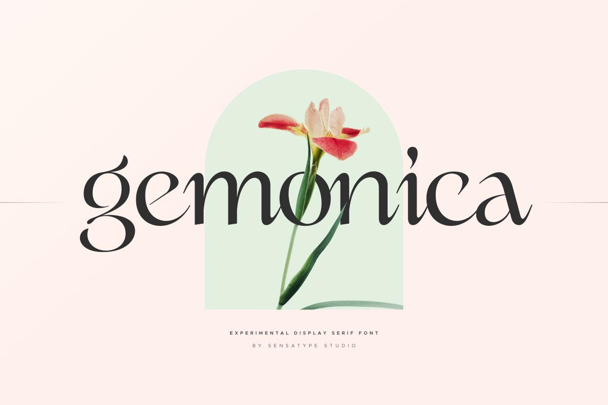 gemonica experimental display serif font 17