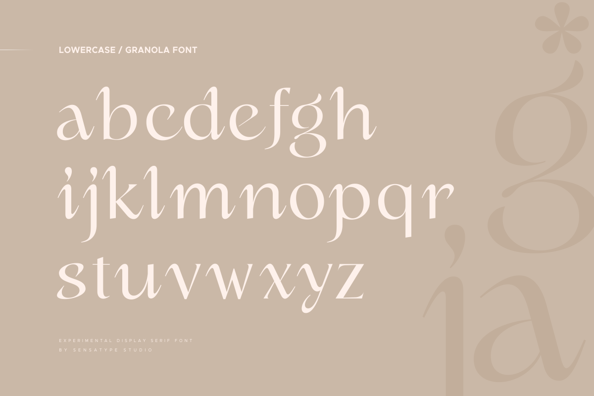 gemonica experimental display serif font 9