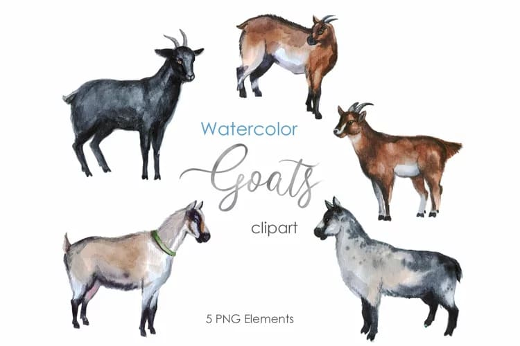 Cute Clipart. Goat Farm Animal Clipart. Watercolor Nurse facebook image.