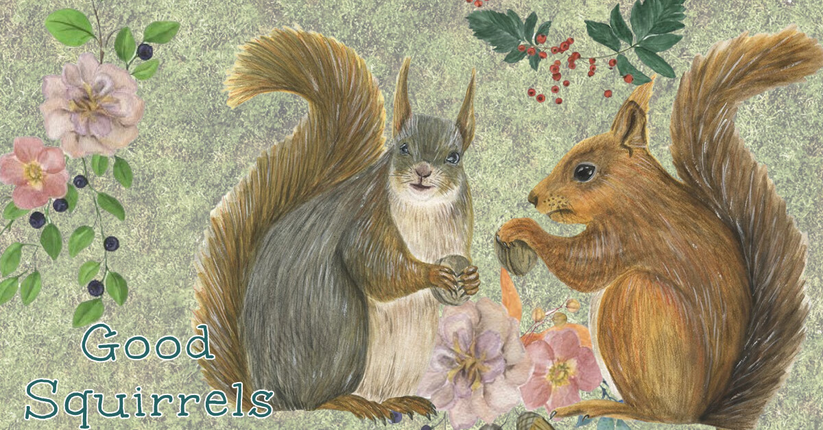 Red-gray squirrels on a green-gray background.