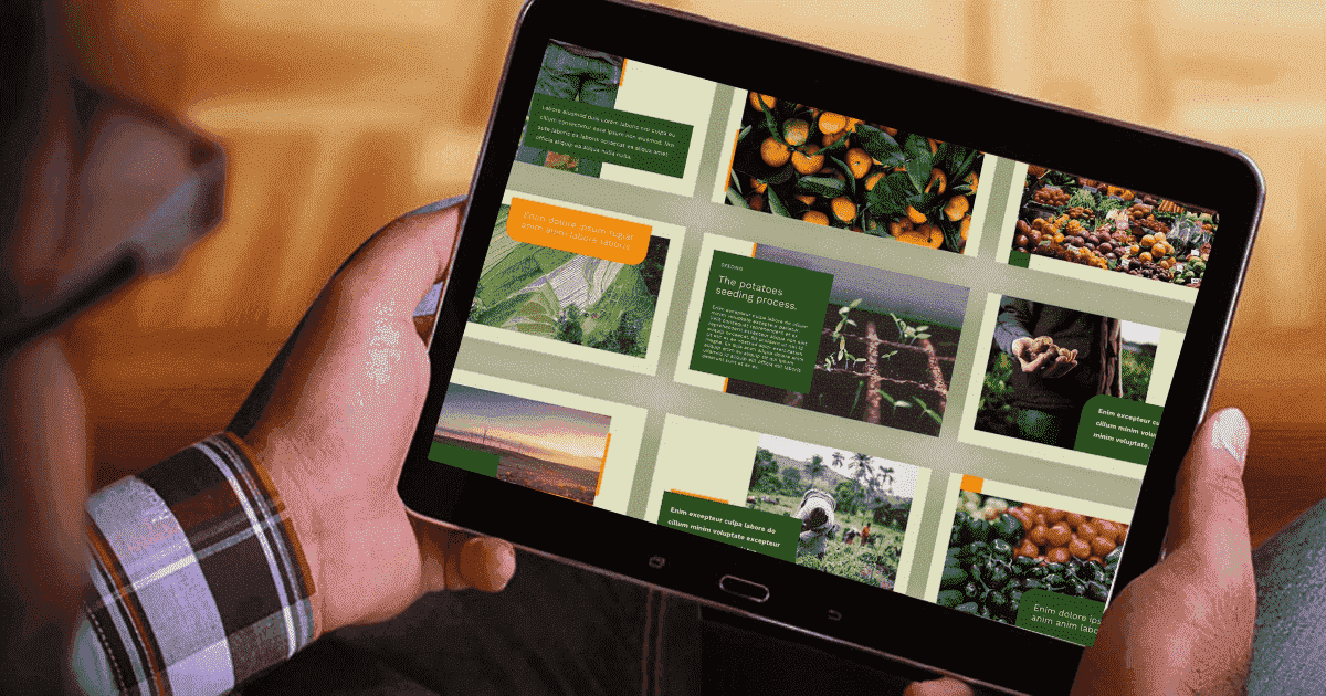 Google Slide - Agrogreen Plantation On The Tablet.