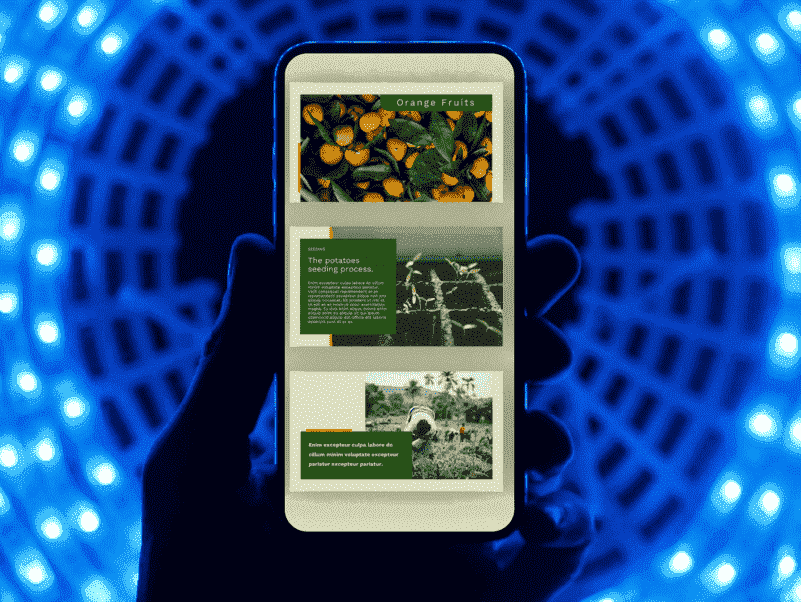 Google Slide - Agrogreen Plantation On The Phone.