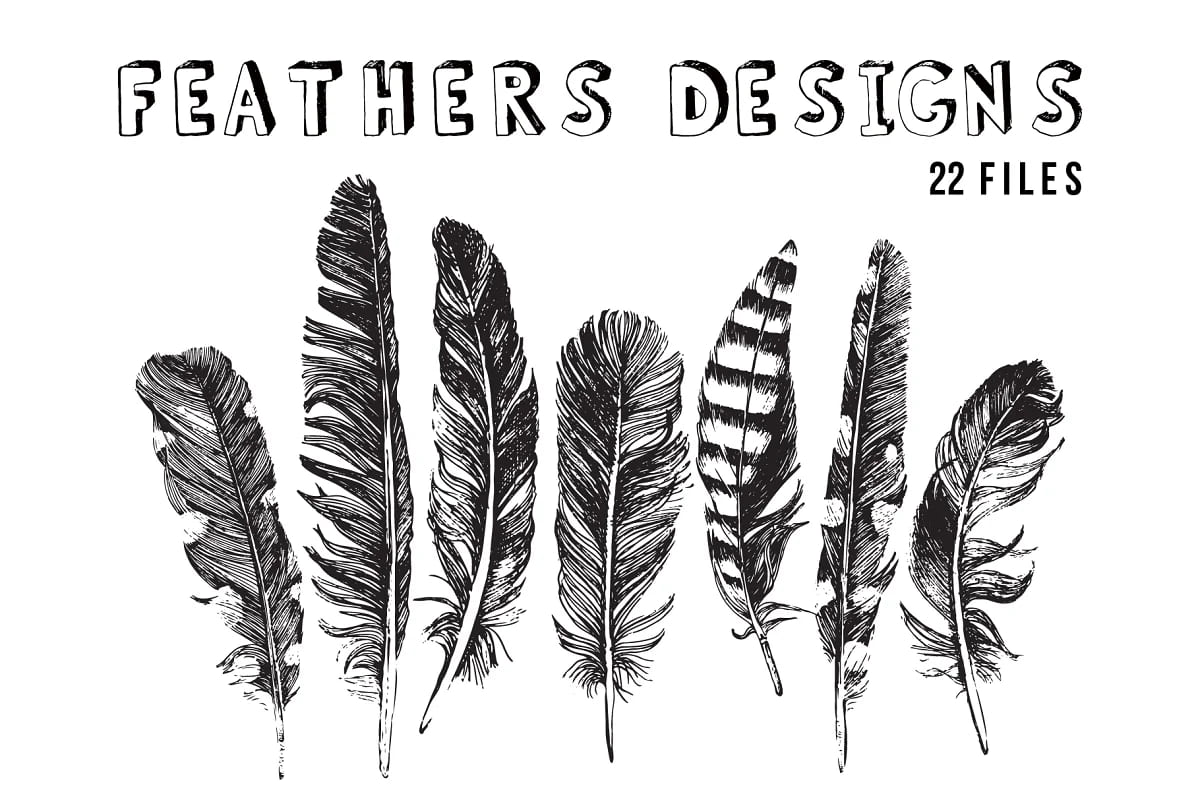 hand sketched feathers.