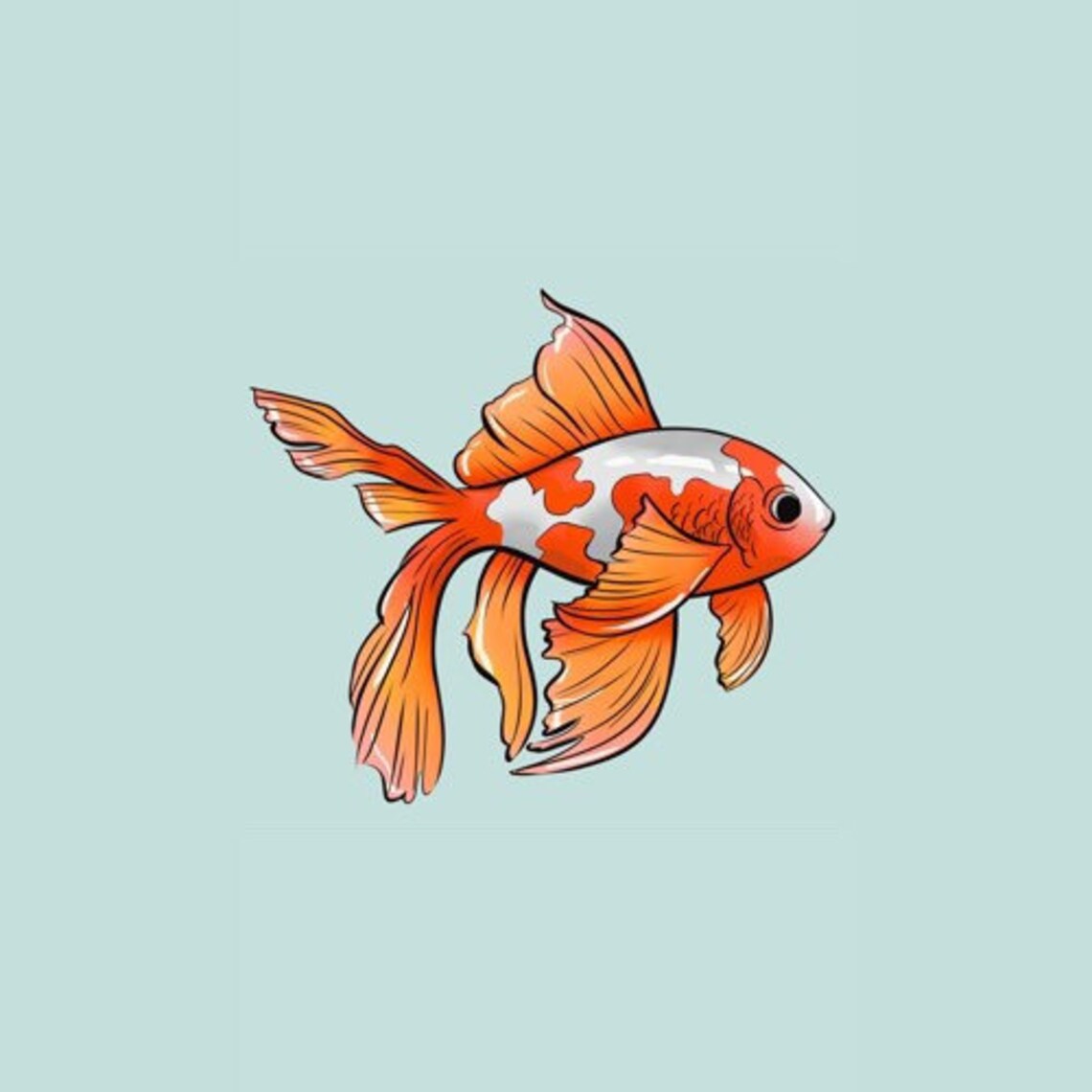 Orange and white fish floating on top of a blue background.