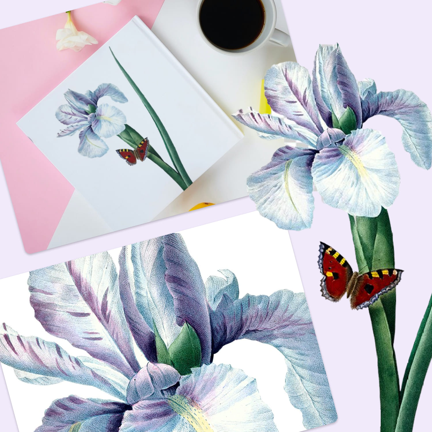 iris clipart flower vintage for home design.