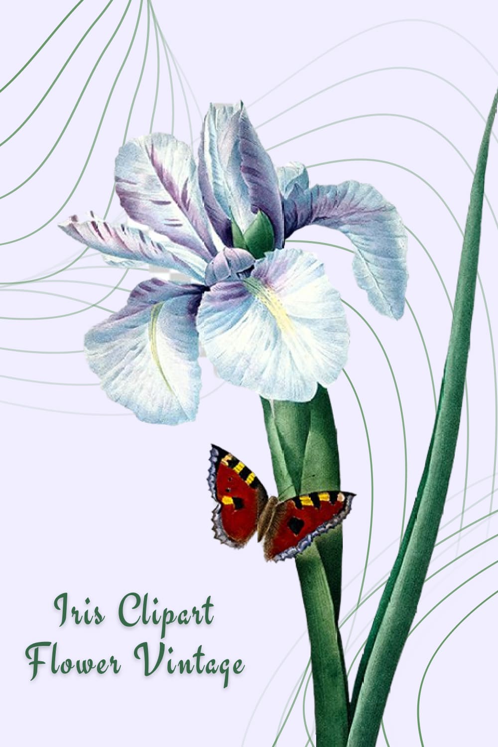 Iris Clipart Flower Vintage Watercolor Design pinterest image.