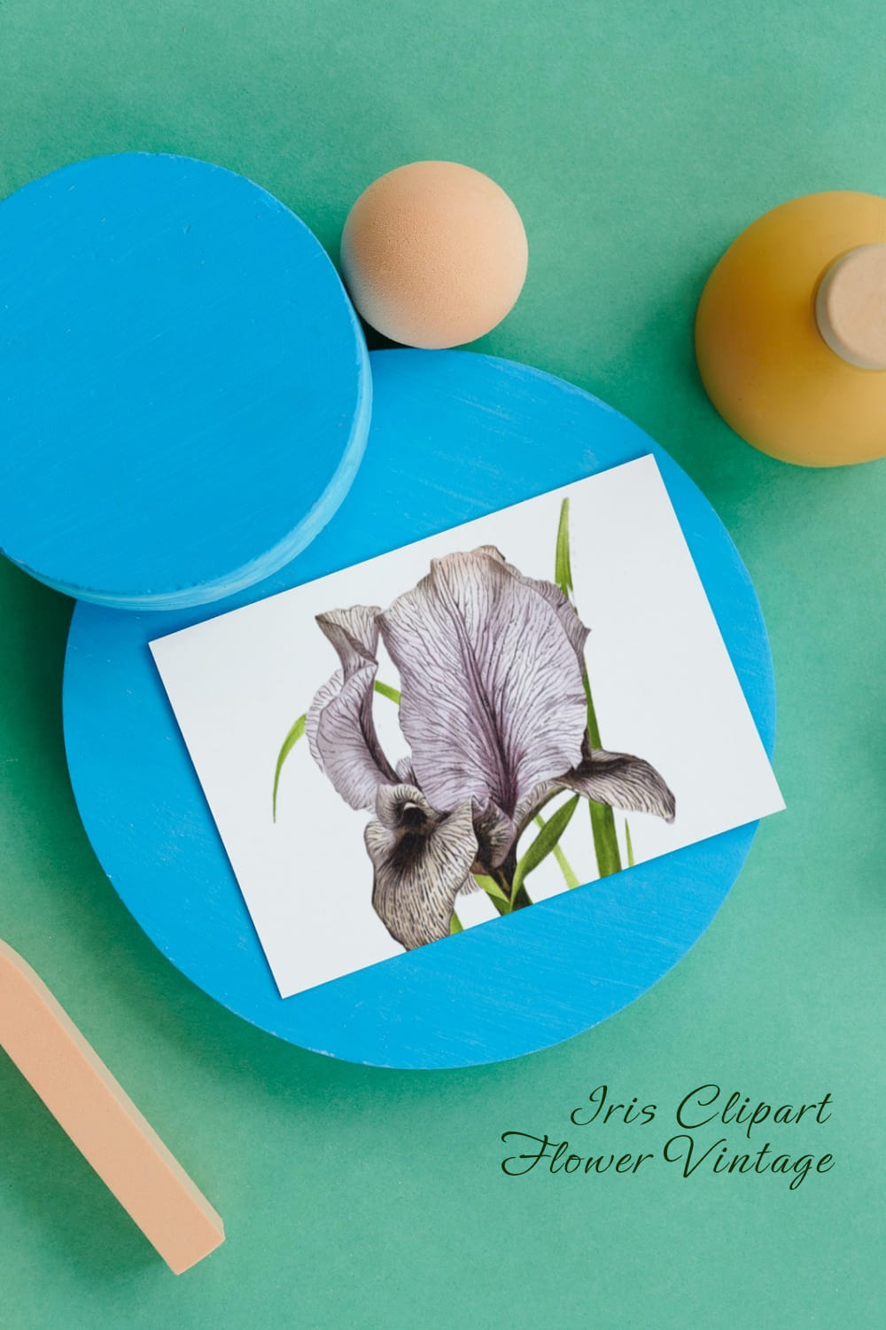 Iris Clipart Flower Oncocyclus Vintage pinterest image.
